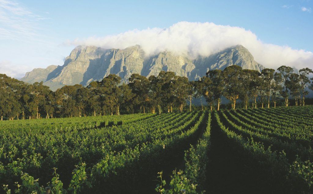 cape-winelands-southern-african-tours