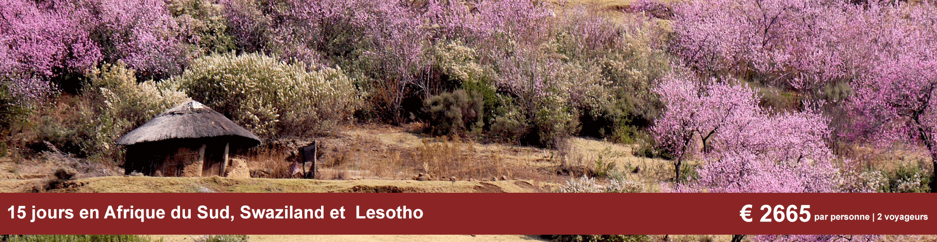 15-Day-Lesotho